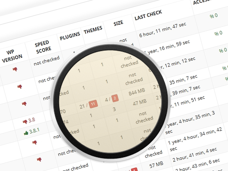 Full WordPress Control